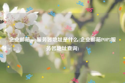 企业邮箱pop服务器地址是什么(企业邮箱POP3服务器地址查询)