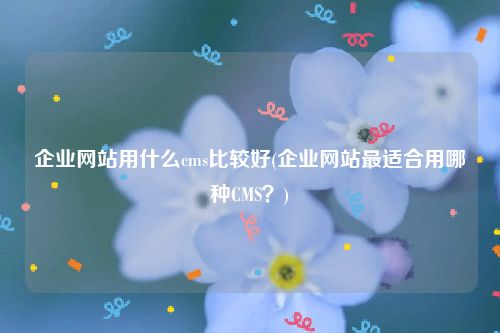 企业网站用什么cms比较好(企业网站最适合用哪种CMS？)