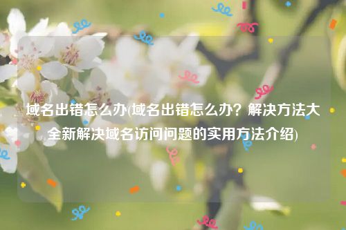 域名出错怎么办(域名出错怎么办？解决方法大全新解决域名访问问题的实用方法介绍)