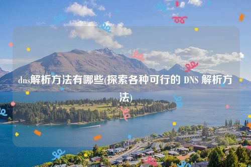 dns解析方法有哪些(探索各种可行的 DNS 解析方法)