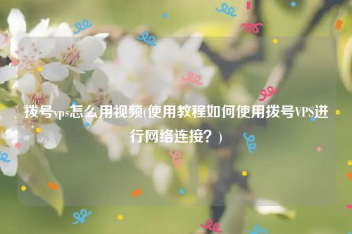 拨号vps怎么用视频(使用教程如何使用拨号VPS进行网络连接？)