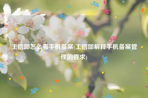 工信部怎么看手机备案(工信部解释手机备案管理的要求)