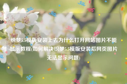 织梦5.5模版安装上去为什么打开网站图片不能显示教程(如何解决织梦5.5模版安装后网页图片无法显示问题)