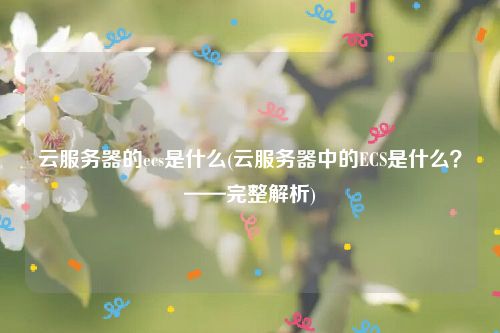 云服务器的ecs是什么(云服务器中的ECS是什么？——完整解析)