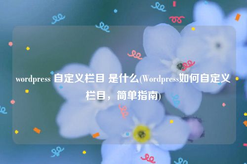 wordpress 自定义栏目 是什么(Wordpress如何自定义栏目，简单指南)