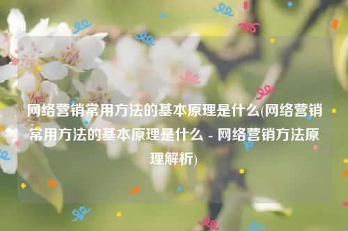 网络营销常用方法的基本原理是什么(网络营销常用方法的基本原理是什么 - 网络营销方法原理解析)