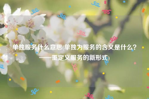 单独服务什么意思(单独为服务的含义是什么？——重定义服务的新形式)