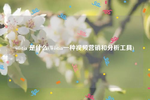 wistia 是什么(Wistia一种视频营销和分析工具)