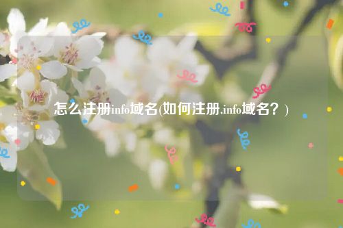 怎么注册info域名(如何注册.info域名？)