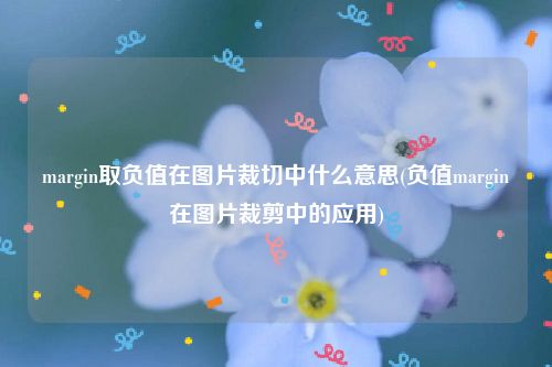 margin取负值在图片裁切中什么意思(负值margin在图片裁剪中的应用)