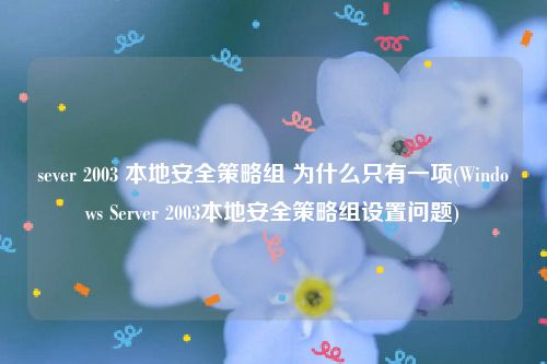 sever 2003 本地安全策略组 为什么只有一项(Windows Server 2003本地安全策略组设置问题)