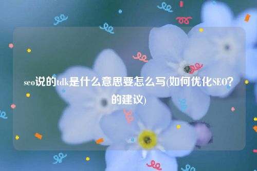 seo说的tdk是什么意思要怎么写(如何优化SEO？的建议)