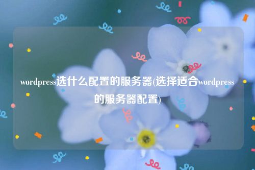 wordpress选什么配置的服务器(选择适合wordpress的服务器配置)