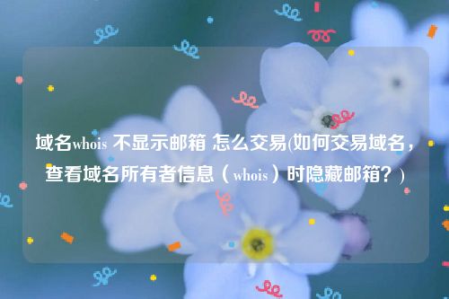 域名whois 不显示邮箱 怎么交易(如何交易域名，查看域名所有者信息（whois）时隐藏邮箱？)