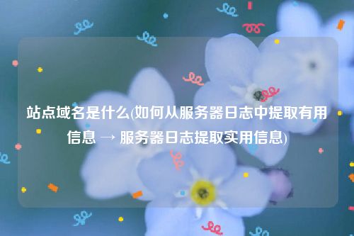 站点域名是什么(如何从服务器日志中提取有用信息 → 服务器日志提取实用信息)