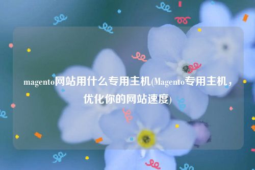 magento网站用什么专用主机(Magento专用主机，优化你的网站速度)