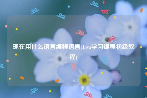 现在用什么语言编程语言(Java学习编程初级教程)