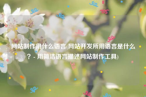 网站制作用什么语言(网站开发所用语言是什么？- 用简洁语言描述网站制作工具)