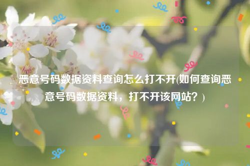 恶意号码数据资料查询怎么打不开(如何查询恶意号码数据资料，打不开该网站？)