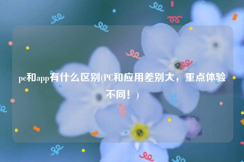 pc和app有什么区别(PC和应用差别大，重点体验不同！)