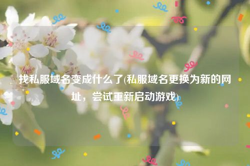 找私服域名变成什么了(私服域名更换为新的网址，尝试重新启动游戏)