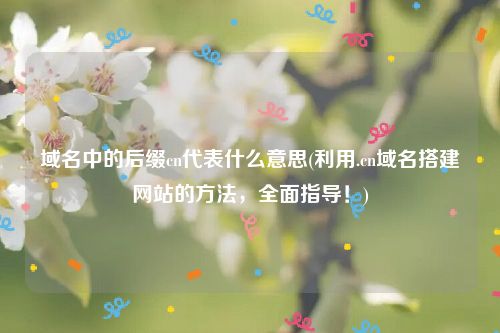 域名中的后缀cn代表什么意思(利用.cn域名搭建网站的方法，全面指导！)