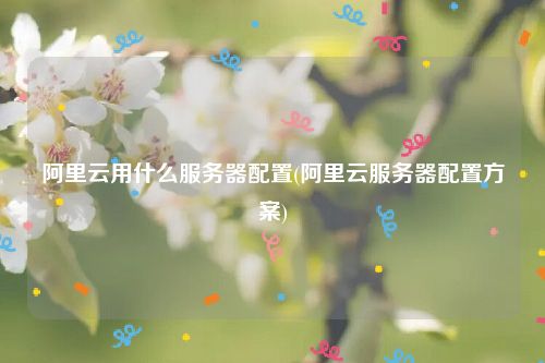 阿里云用什么服务器配置(阿里云服务器配置方案)