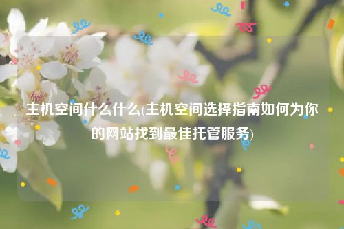 主机空间什么什么(主机空间选择指南如何为你的网站找到最佳托管服务)