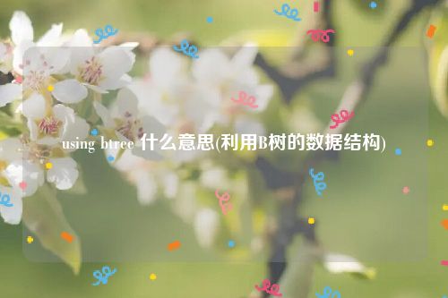 using btree 什么意思(利用B树的数据结构)