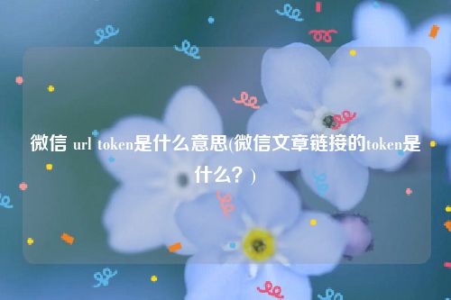 微信 url token是什么意思(微信文章链接的token是什么？)