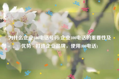 为什么企业400电话号码(企业400电话的重要性及优势 - 打造企业品牌，使用400电话)