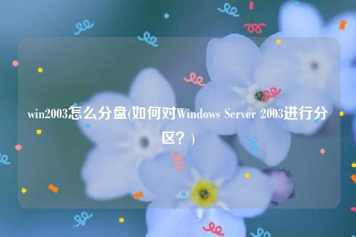 win2003怎么分盘(如何对Windows Server 2003进行分区？)