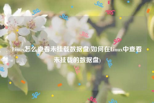 Linux怎么查看未挂载数据盘(如何在Linux中查看未挂载的数据盘)