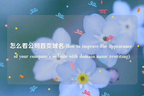 怎么看公司首页域名(How to improve the appearance of your company's website with domain name rewriting)