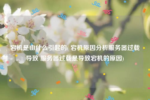 宕机是由什么引起的( 宕机原因分析服务器过载导致 服务器过载是导致宕机的原因)