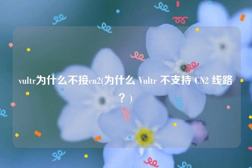 vultr为什么不接cn2(为什么 Vultr 不支持 CN2 线路？)