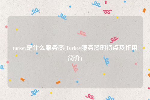 turkey是什么服务器(Turkey服务器的特点及作用简介)