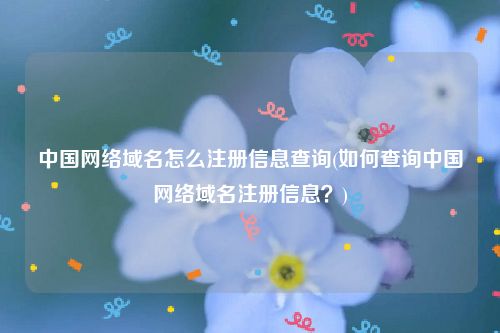 中国网络域名怎么注册信息查询(如何查询中国网络域名注册信息？)