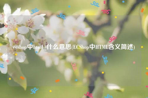 ecshop中html_什么意思(ECShop中HTML含义简述)