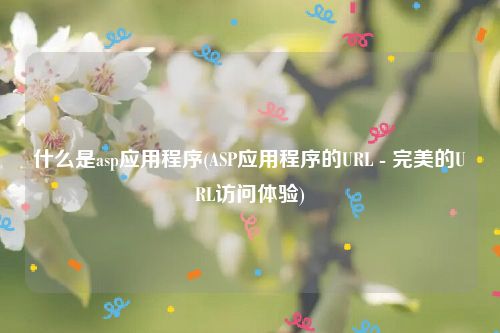 什么是asp应用程序(ASP应用程序的URL - 完美的URL访问体验)