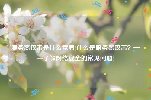 服务器攻击是什么意思(什么是服务器攻击？——了解网络安全的常见问题)