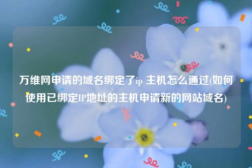 万维网申请的域名绑定了ip 主机怎么通过(如何使用已绑定IP地址的主机申请新的网站域名)