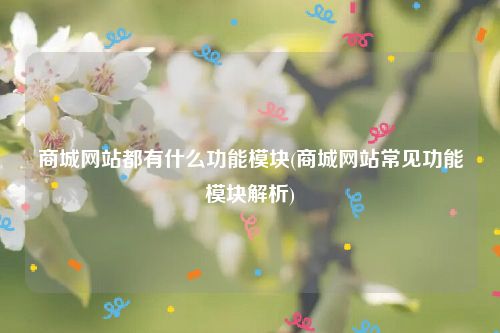 商城网站都有什么功能模块(商城网站常见功能模块解析)