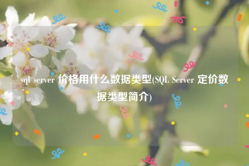 sql server 价格用什么数据类型(SQL Server 定价数据类型简介)