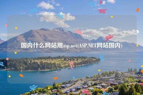 国内什么网站用asp.net(ASP.NET网站国内)