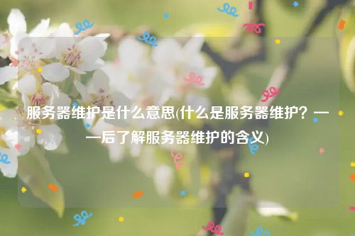 服务器维护是什么意思(什么是服务器维护？——后了解服务器维护的含义)