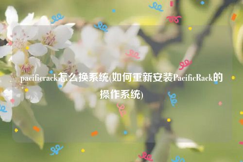 pacificrack怎么换系统(如何重新安装PacificRack的操作系统)