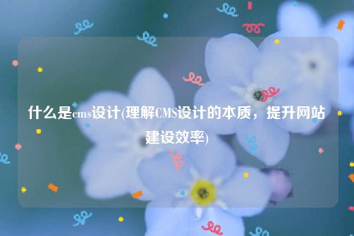 什么是cms设计(理解CMS设计的本质，提升网站建设效率)