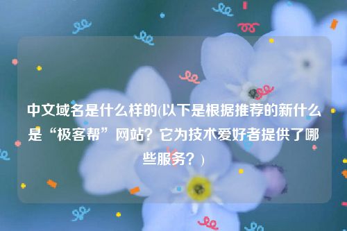 中文域名是什么样的(以下是根据推荐的新什么是“极客帮”网站？它为技术爱好者提供了哪些服务？)