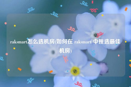 raksmart怎么选机房(如何在 raksmart 中挑选最佳机房)